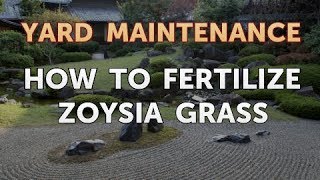 How to Fertilize Zoysia Grass [upl. by Liryc]