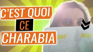 Test auditif  comment le lire et le comprendre [upl. by Oaoj]