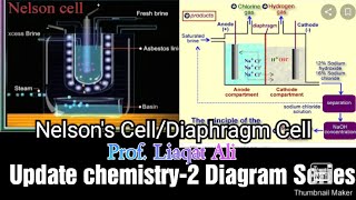 The Nelson Cell  Diaphragm Cell Update Chemistry2 Diagram Series Prof Liaqat Ali [upl. by Yrak]