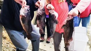 Fishing for ROCKFISH along the Oregon Coast [upl. by Licko]