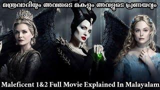 Maleficent 1 amp 2 Full Movie Explained In Malayalam  Fantasy Movie Explanation In Malayalam [upl. by Meri891]