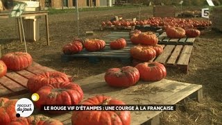 Le rouge vif détampes  une courge à la française [upl. by Nichole56]