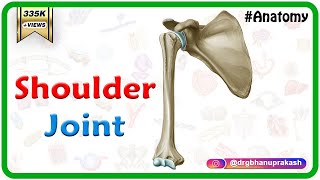 Shoulder joint Anatomy  Ligaments Movements Blood supply  Nerve supply and Clinical anatomy [upl. by Retloc]