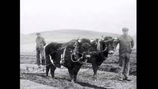 Crofters And Crofting Scotland 2 [upl. by Hulbig651]