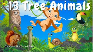 13 Animals live on Trees Tree animal who lives on tree  Jungle animal  Kids Learning E book  8 [upl. by Laing]