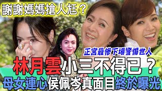 林月雲小三不得已？母女連心侯佩岑真面目終於曝光！？元配淪為未亡人不甚唏噓，許聖梅不忍了抖出當年不倫戀駭人內幕！【新聞挖挖哇】 [upl. by Gayle510]