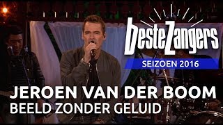 Jeroen van der Boom  Beeld zonder geluid  Beste Zangers 2016 [upl. by Niajneb279]