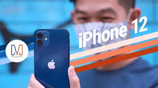 Why you should BUY the nonPro iPhone 12 [upl. by Kareem]