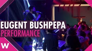 Eugent Bushpepa “Mall”  Live  Diesis Music Hall Tirana  wiwibloggs [upl. by Ume]