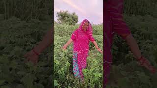 Village life  Nomadic Indian Family shorts ytshorts villagelife [upl. by Brod]