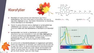 Fotosyntesens biokemi  Biologi 2 100 p [upl. by Kei]