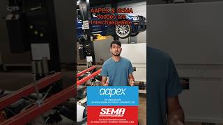 AAPEX vs SEMA Go to BOTH shorts [upl. by Wilhelmine594]