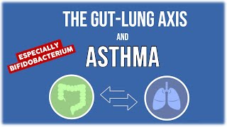 Gut  Lung Axis  Which Bacteria is Important to Your Lung [upl. by Ttenrag868]