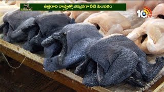 Kadaknath Chicken  High Protein Chicken  Kadaknath Feeding And Profits  Matti Manishi  10TV News [upl. by Lohner]