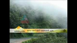 Kerala MonsoonBeauty of Rain in Thamarassery Churam Wayanad churam [upl. by Ignatia345]