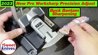 GIVEAWAY  Work Sharp Pro PA Precision Adjust  Buck Bantam Sharpened [upl. by Clabo]