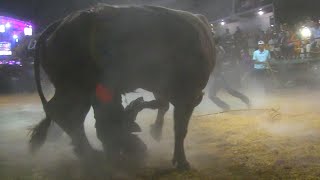 LLEGO LA TRAGEDIA AL JARIPEO  RANCHO LA HERENCIA EN XALPATLAHUAC GUERRERO 2024 [upl. by Ailaht]