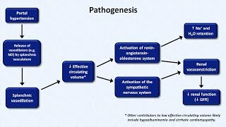 Hepatorenal Syndrome [upl. by Averill]