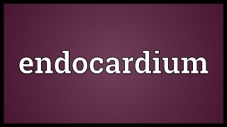 Endocardium Meaning [upl. by Ainod]