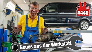 DESASTER am VW T6 😡😡  Wie aus einem Zischen ein skandalöser Motorschaden wurde 😱 LiveDiagnose [upl. by Perrie]