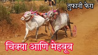 तुफानी फेरा 🔥  👑 चिक्या 4x4 आणि मेहबूब 3006 👑  chikya mehboob 3006 [upl. by Ivan]