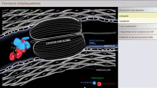Fármacos Antiplaquetarios [upl. by Lyle]