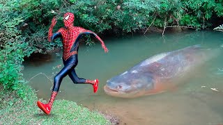 Homem Aranha e a História do Monstro Peixe Aranha  Filme Completo 2024 [upl. by Olfe926]