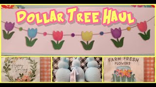 Dollar Tree Haul Feb 2024 [upl. by Iris]