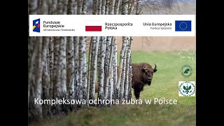 Konferencja podsumowująca projekt quotKompleksowa ochrona żubra w Polscequot cz 1 [upl. by Dranik]