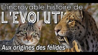 Aux origines des chats félidés  Évolution  Paléontologie  Simplex Paléo [upl. by Petronilla]