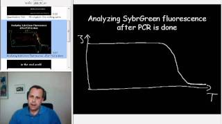 7Quantitative PCR  the melting curve [upl. by Tamera]