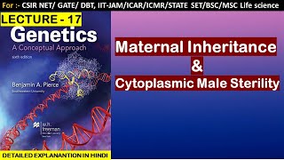 MATERNAL INHERITANCE CYTOPLASMIC MALE STERILITY [upl. by Lednar]