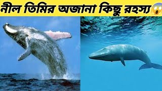 পৃথিবীর সবথেকে স্তন্যপায়ী প্রাণী নীল তিমি। তার অজানা কিছু রহস্য দেখলে আপনি অবাক হবেন 😱। dangerous [upl. by Iridissa]