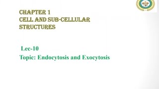 Endocytosis and Exocytosis  Phagocytosis and Pinocytosis  Bulk Transport Across Cell Membrane [upl. by Ameh106]