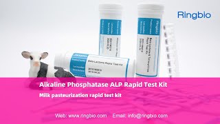 Ringbio Alkaline Phosphatase Rapid Test Strip milk pasteurization rapid test kit [upl. by Yslek643]