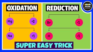 Oxidation and Reduction Reactions [upl. by Yesnik]