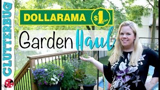 Dollarama Garden Haul  Canadian Dollar Store [upl. by Amzu809]