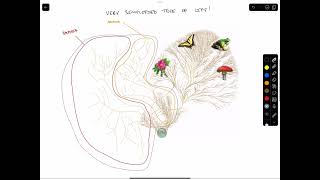 Phylogenetic Trees [upl. by Vatsug]