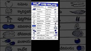 అందరూ తెలుసుకోవాల్సిన చాలా మంచి మెసేజ్ ఇది అందరికీ షేర్ చేయండి subscribe pleaseshort videosyt [upl. by Kabab]