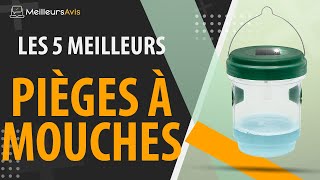 ⭐️ MEILLEUR PIÈGE À MOUCHES  Avis amp Guide dachat Comparatif 2022 [upl. by Assyli]