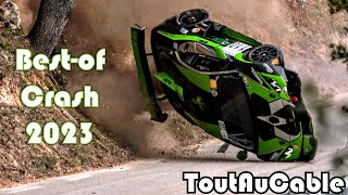 Best of Rallye Rally 2023  Hillclimb  Big Crash  Mistakes amp Show by ToutAuCable [upl. by Lucilia]