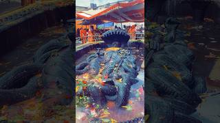 Saun ne sombar ko din ma yasari pooja hunx vairalvideo pokharacity [upl. by Helfant479]