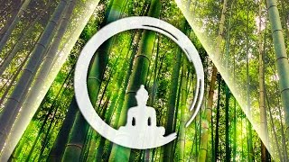 Japanese Shakuhachi 尺八 Music 1 Hour Relaxing Bamboo Flute amp Zen Music for Yoga Relaxation 085 [upl. by Dekeles]