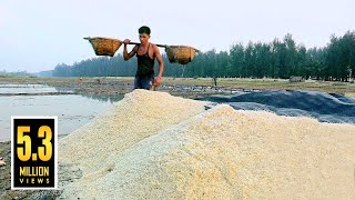 লবণ ক্ষেতের quotলবণquot  How to Make Salt in Bangladesh [upl. by Lynnell]