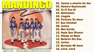 Grupo Mandingo  Rompe Corazones Álbum Mix [upl. by Aehr498]