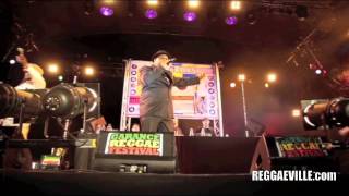 Alpheus amp Prince Jazzbo  Garance Reggae Festival 7272011 [upl. by Ivanna]