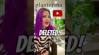 Planterina YouTube Channel Deleted What Happened 😭🌱 [upl. by Weinshienk]