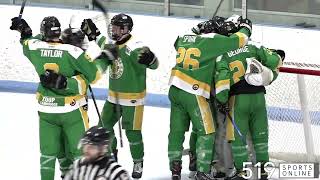 519 Marquee Matchup  PJHL Playoffs Game 7  Hespeler Shamrocks vs Tavistock Braves [upl. by Hjerpe]