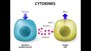 Discuss Cytokines Interleukin interferons Tumour necrosis factor Chemokines Cathelicidins [upl. by Maia903]