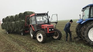 Poplon w bele dla Rogatego Dziadostwa  Koszenie 30kmh [upl. by Eeznyl]